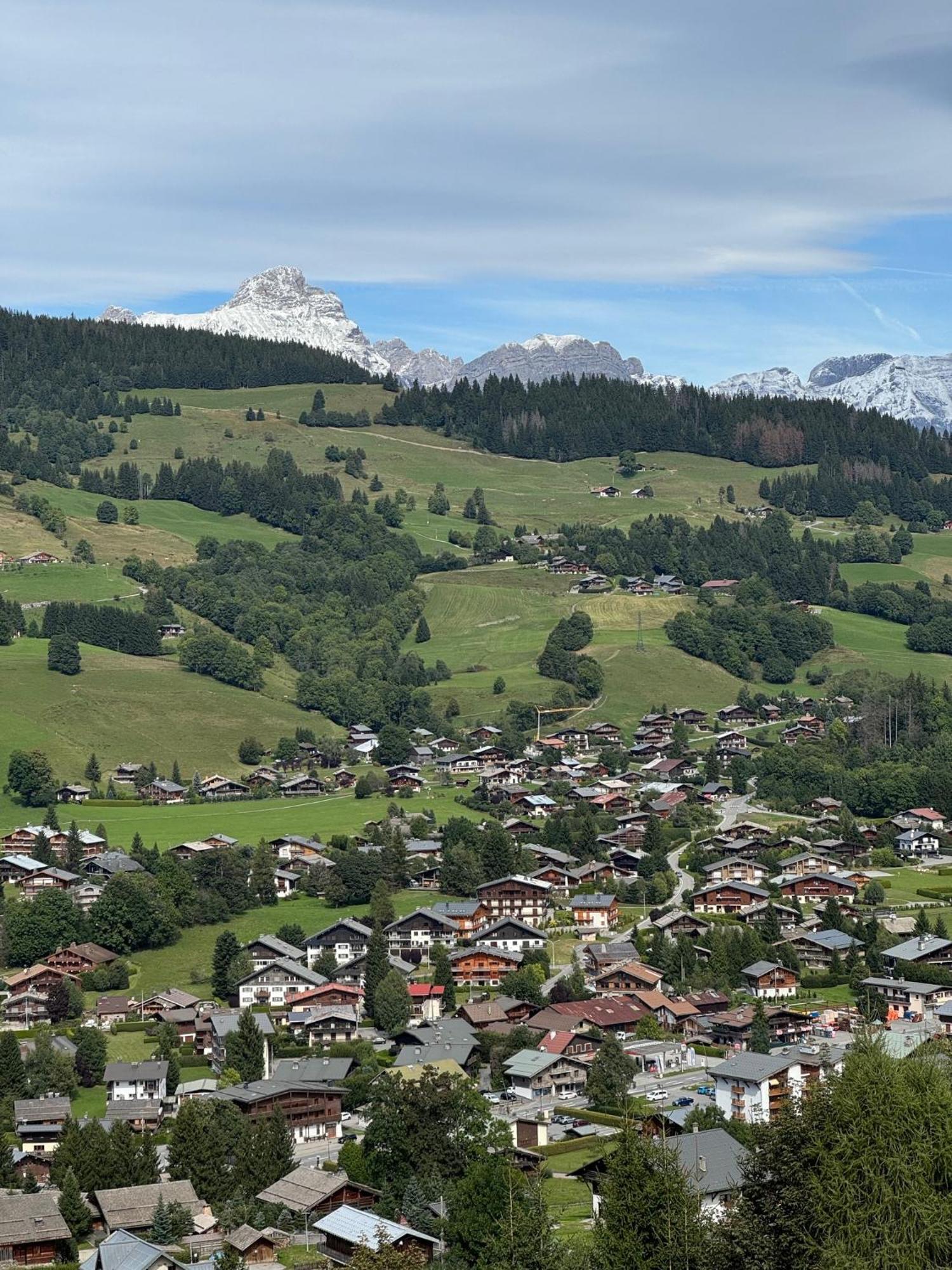 Bel Au Dernier Etage - Apartment Megève